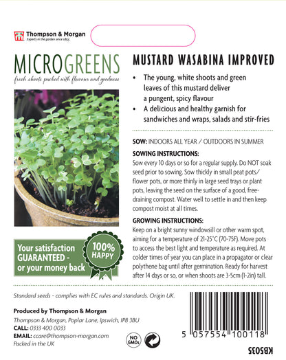 Microgreens Mustard Wasabina Improved