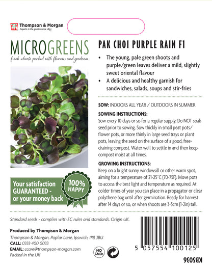 Microgreens Pak Choi Purple Rain F1