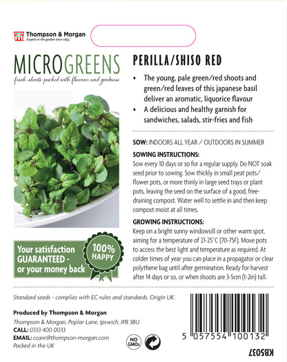 Microgreens Perilla/Shiso Red