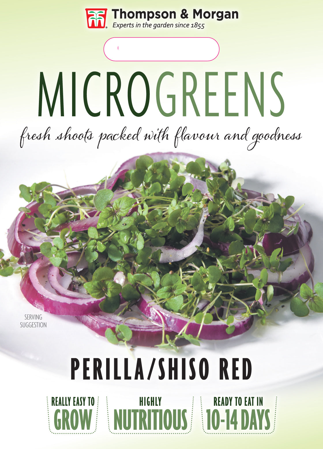 Microgreens Perilla/Shiso Red