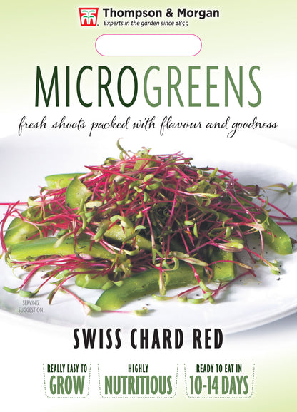 Microgreens Swiss Chard Red Chard