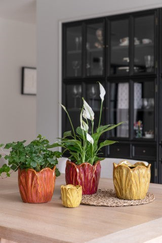 Alyssa Tulip Cherry Planter H14cm D15cm