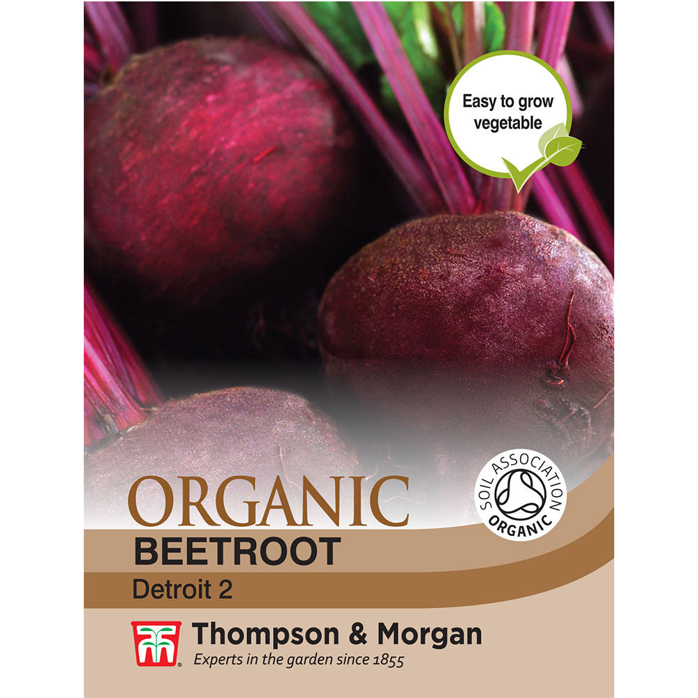 Beetroot Detroit 2 (Organic)-Easy Garden Centre