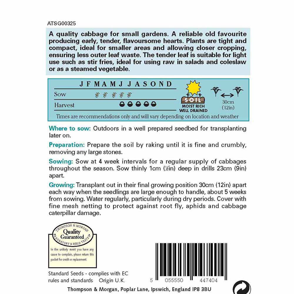 Cabbage Greyhound-Easy Garden Centre