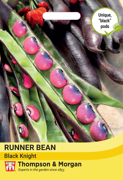 Bean Runner Black Knight (unavailable)