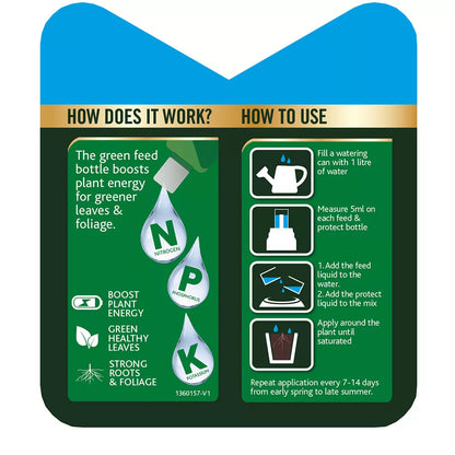 Westland Buxus 2 in 1 Feed & Protect 2 x 500ml