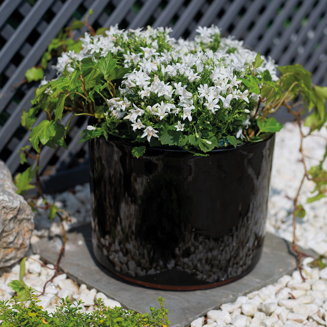 Cambridge Glazed Cylinder 30cm (Black/Blue/Green)-Easy Garden Centre