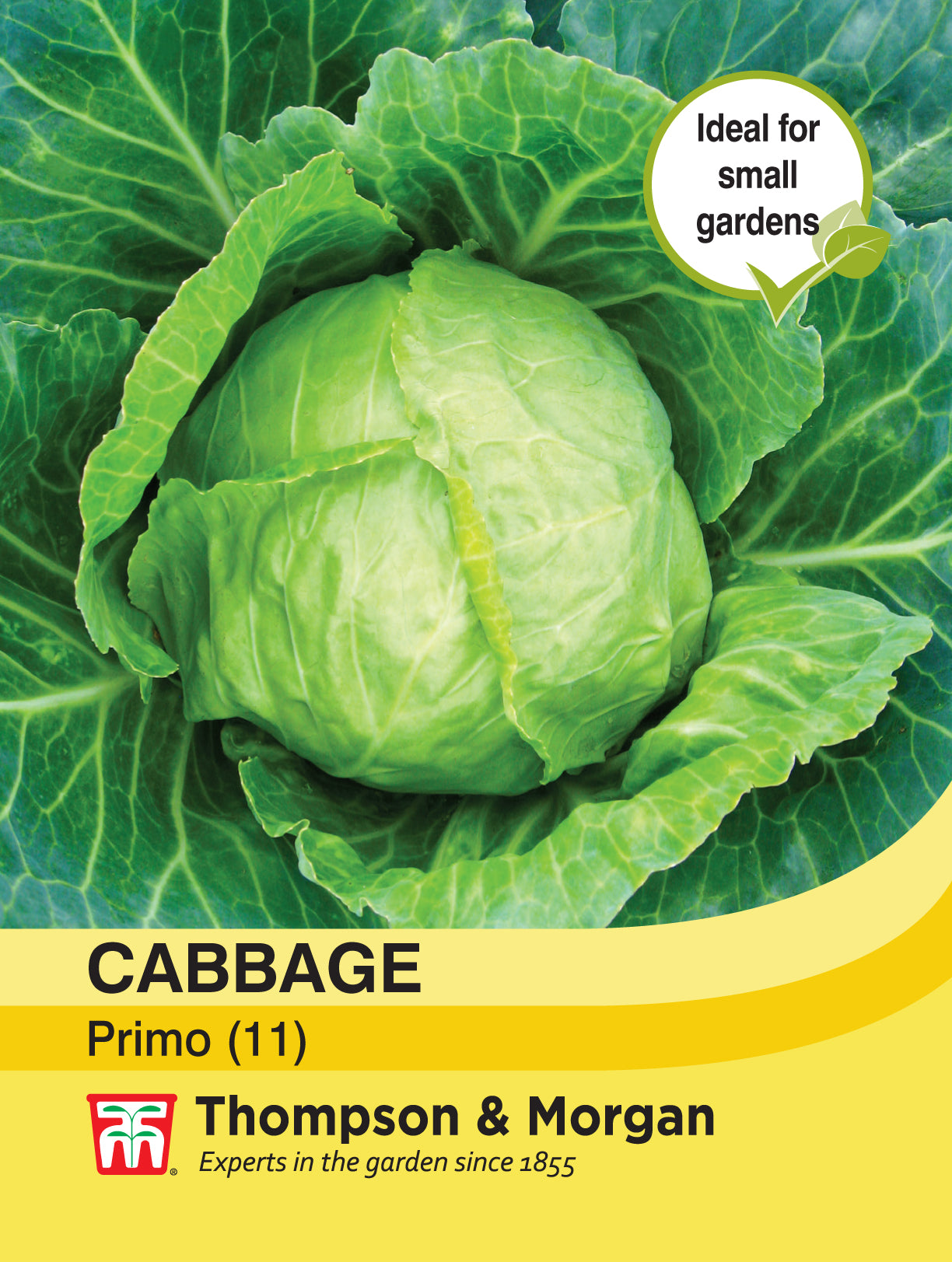 Cabbage Primo (11)