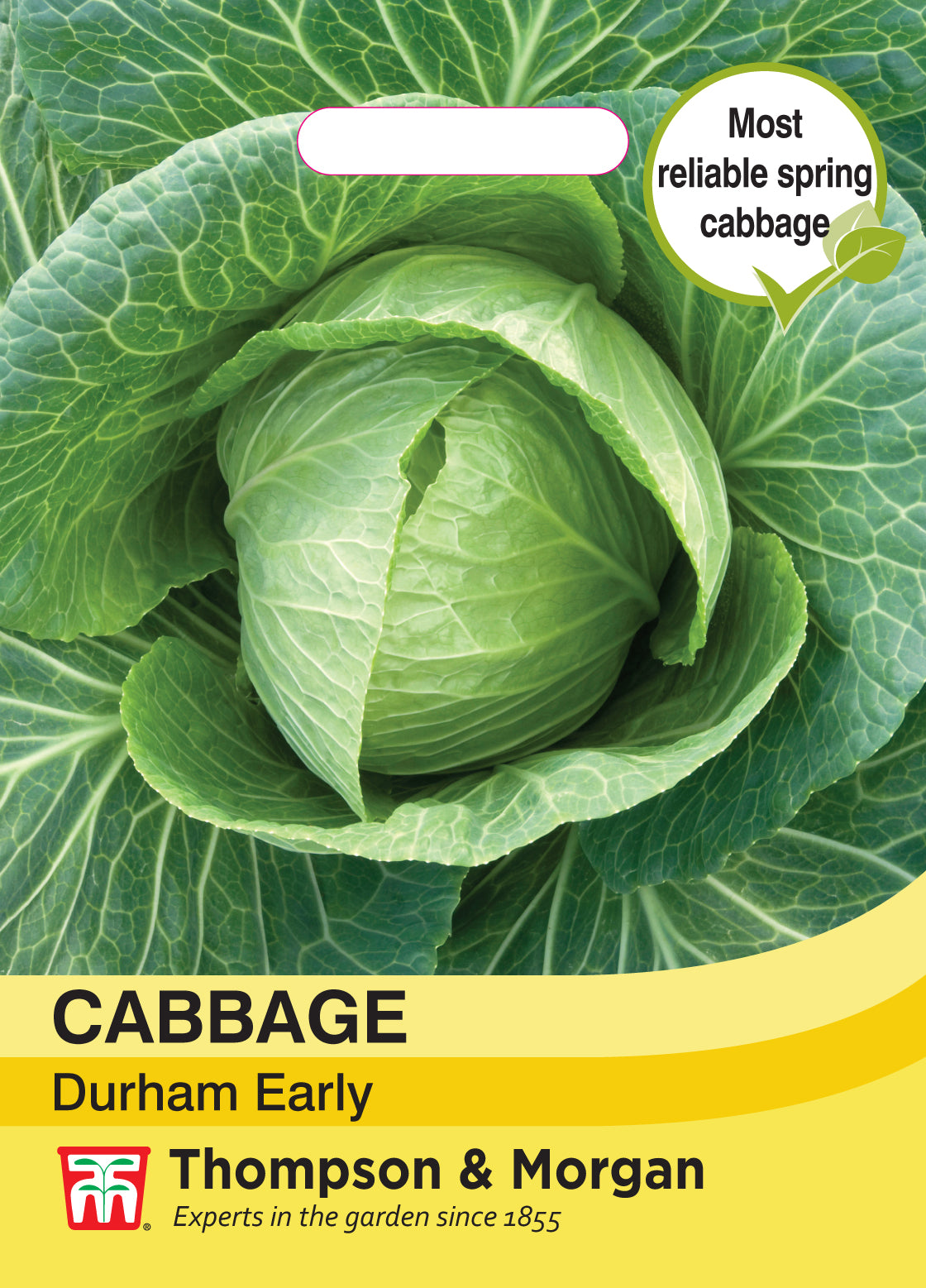 Cabbage Durham Early