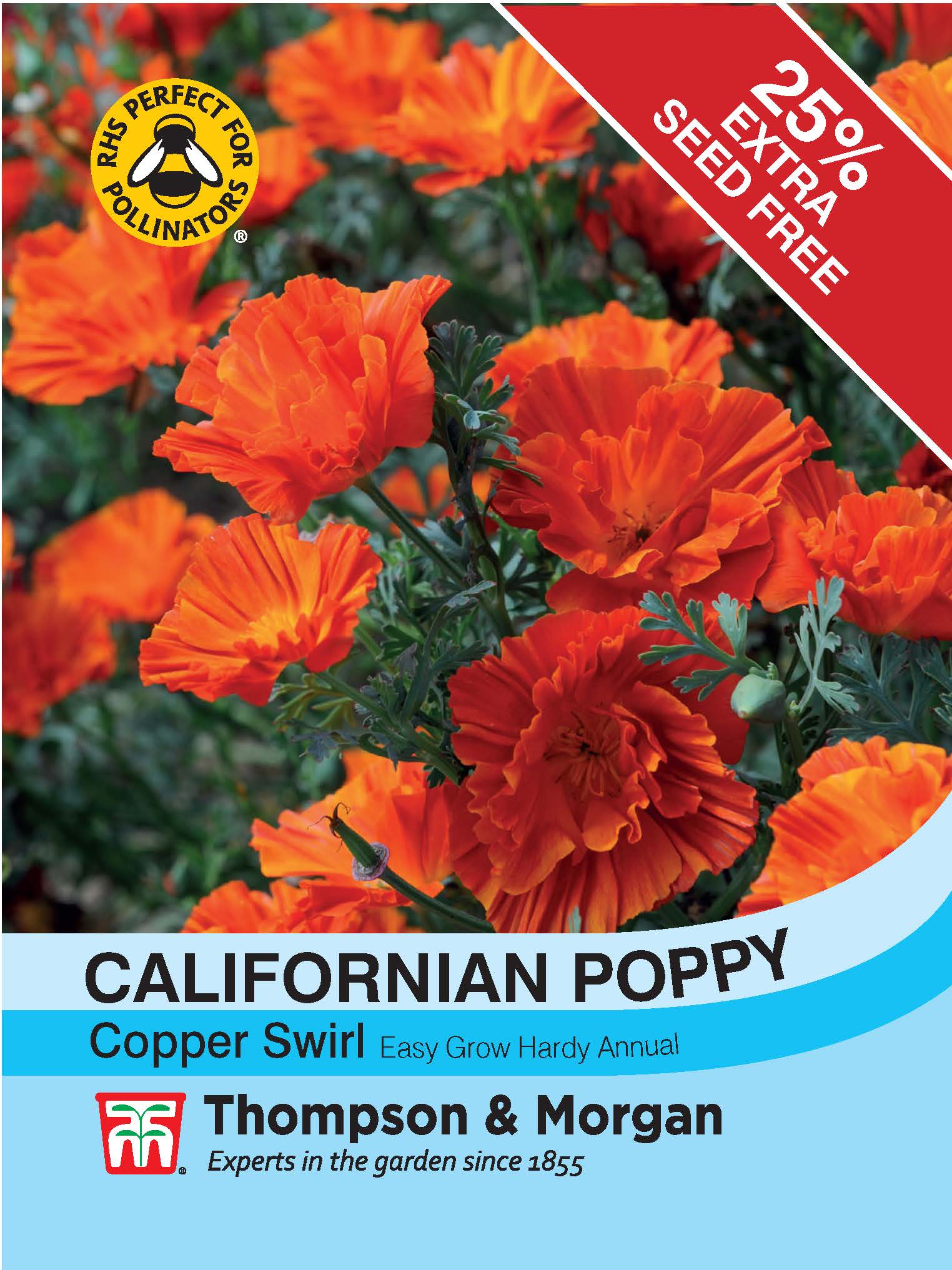 Californian Poppy Copper Swirl