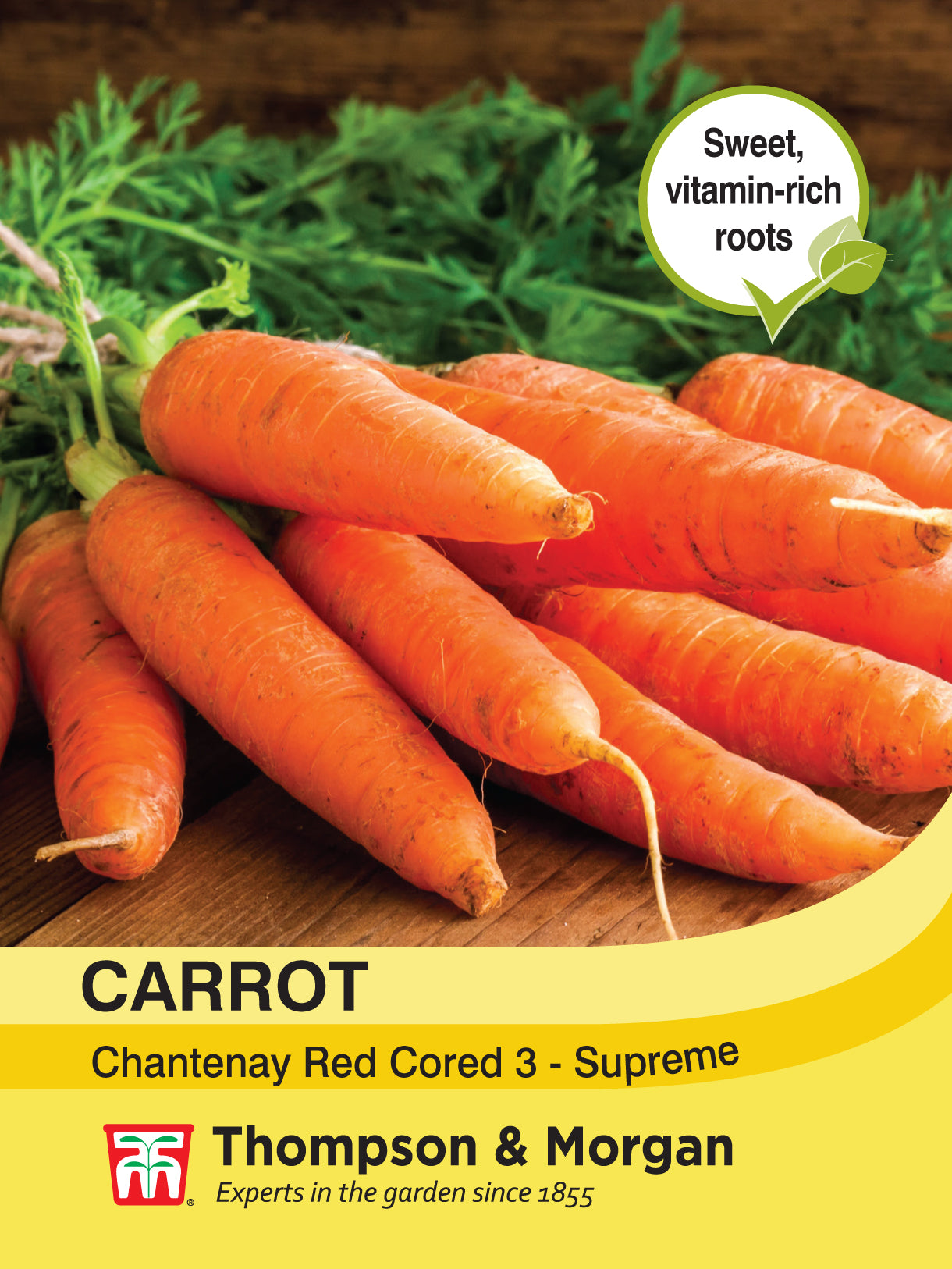 Carrot Chantenay Red Cored 3 - Supreme