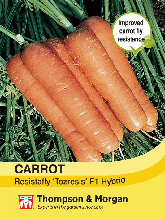 Carrot Resistafly F1 Hybrid