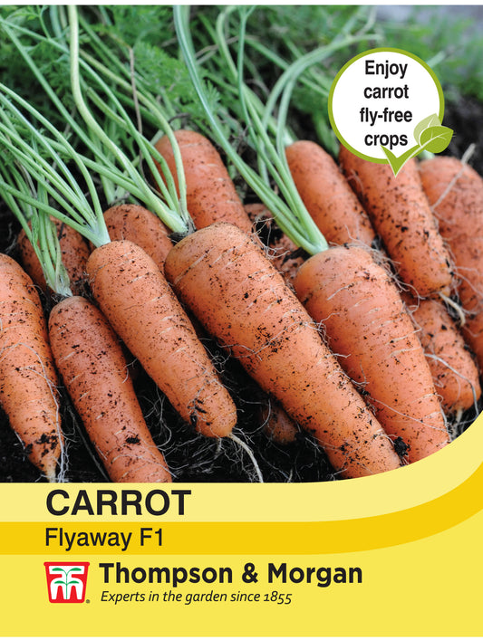 Carrot Fly Away F1 Hybrid