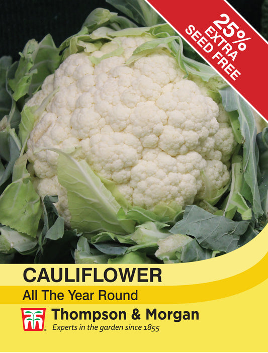 Cauliflower All The Year Round