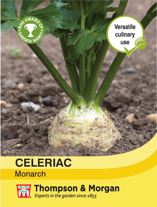 Celeriac Monarch