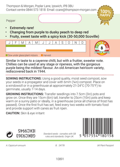 Chilli Capsicum annuum Buena Mulata