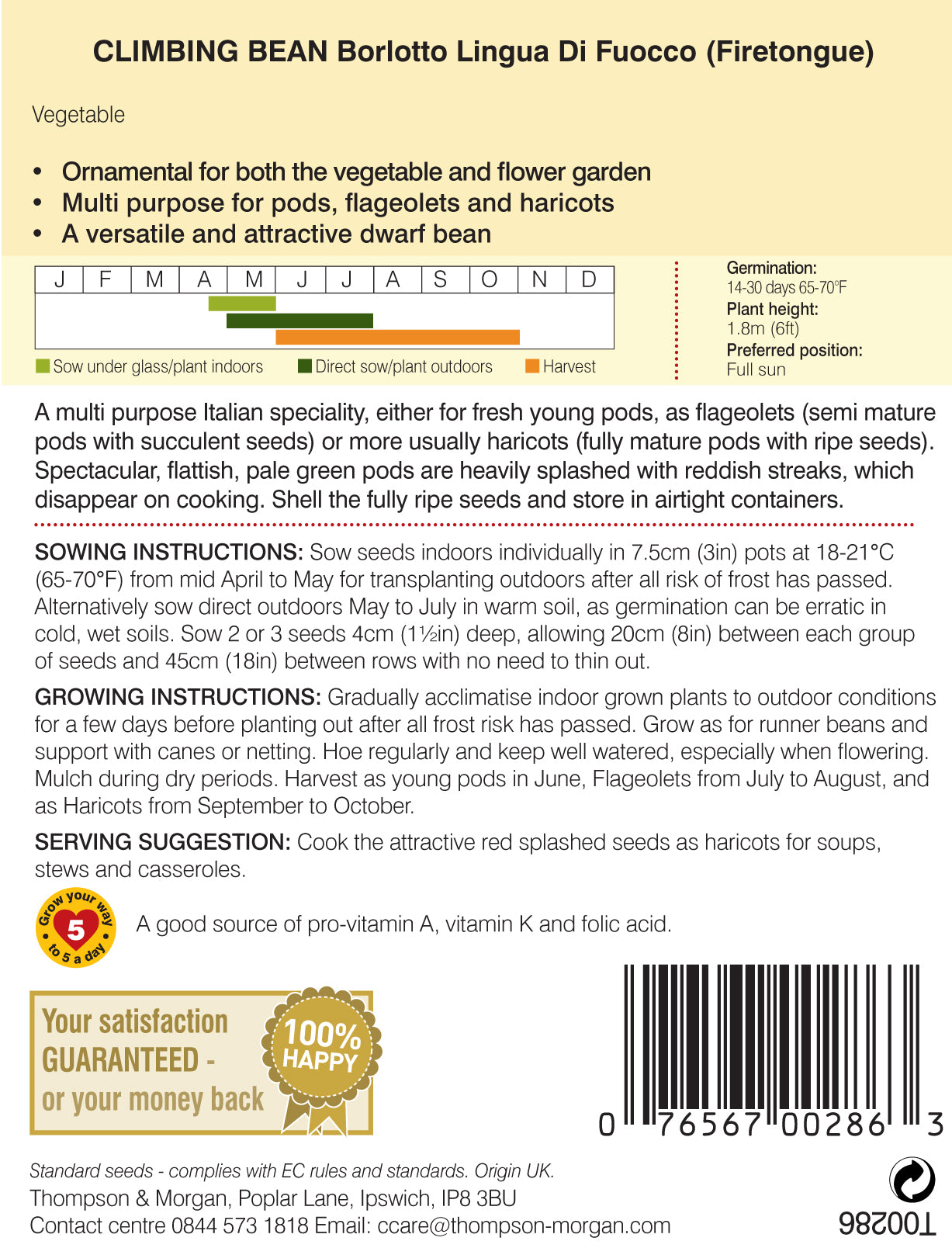 Climbing Bean Borlotto Lingua (Firetongue)