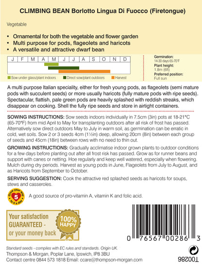 Climbing Bean Borlotto Lingua (Firetongue)