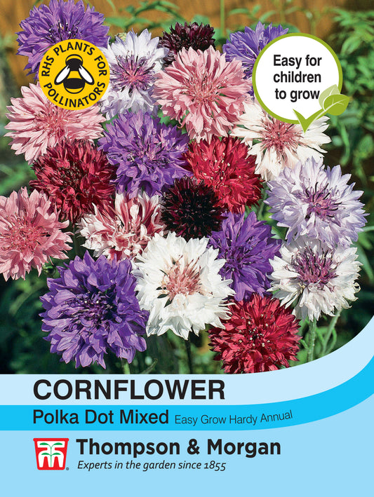 Cornflower Polka Dot Mixed