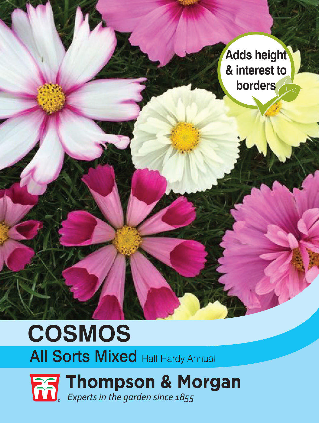 Cosmos All Sorts Mixed