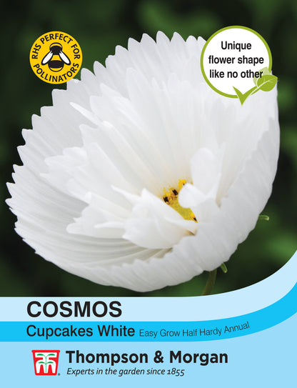 Cosmos Cupcakes - White