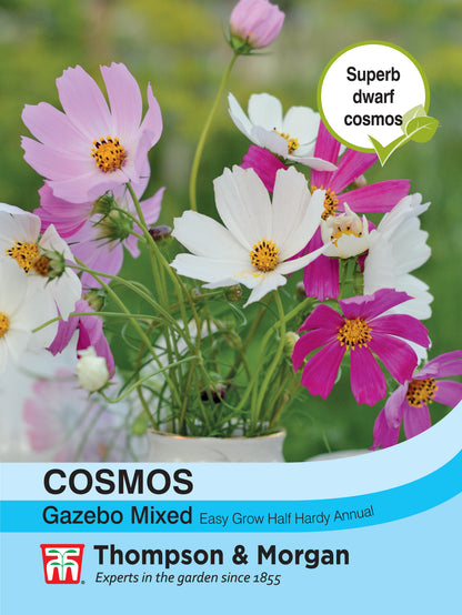 Cosmos Gazebo Mixture