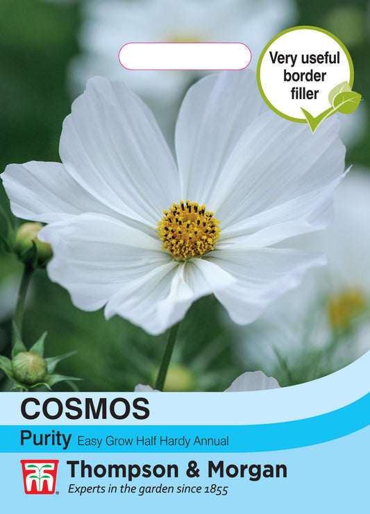 Cosmos Purity