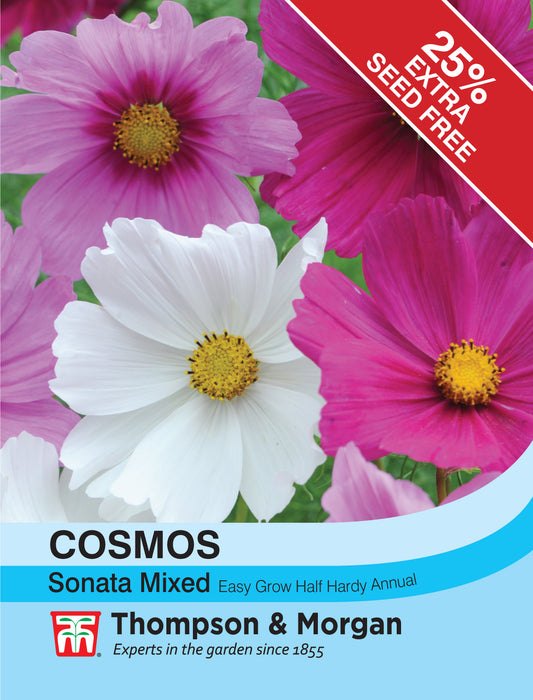 Cosmos Sonata Mixed