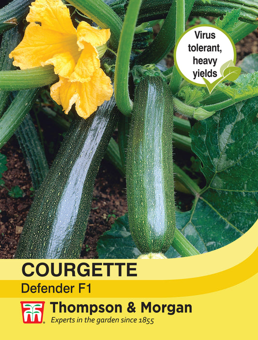 Courgette Defender F1 Hybrid