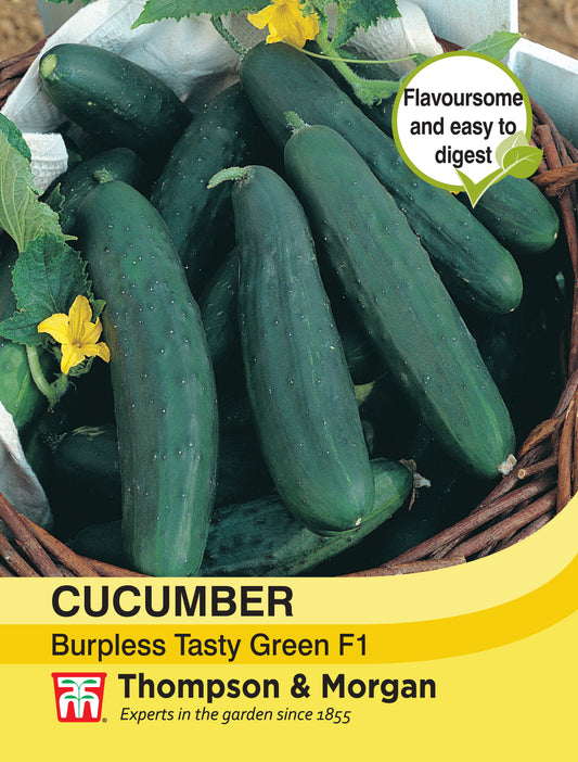 Cucumber Burpless Tasty Green