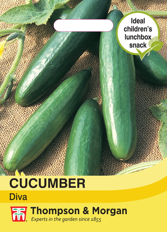 Cucumber Diva