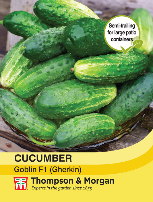 Cucumber Goblin F1 Hybrid (Gherkin)