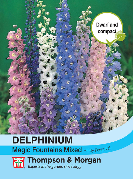 Delphinium Magic Fountains