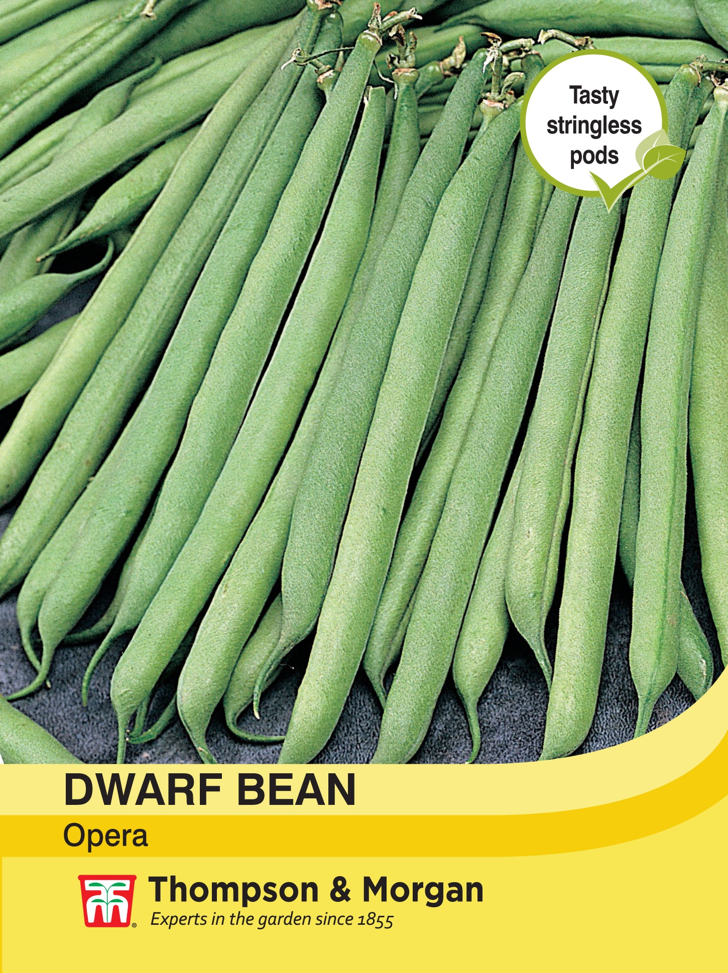 Dwarf Bean Opera