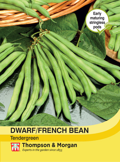 Dwarf Bean Tendergreen