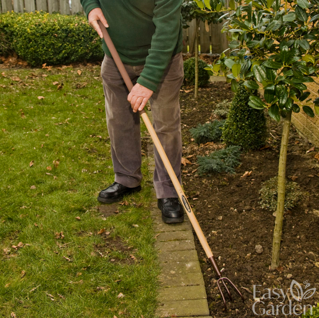 ELEM 3 PRONG CULTIVATOR-Easy Garden Centre