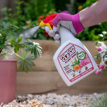Fungus Clear Plant Shield Ready To Use Spray 800Ml-Easy Garden Centre