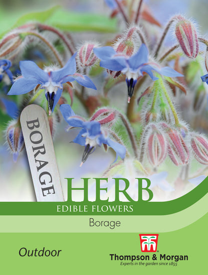 Herb Borage