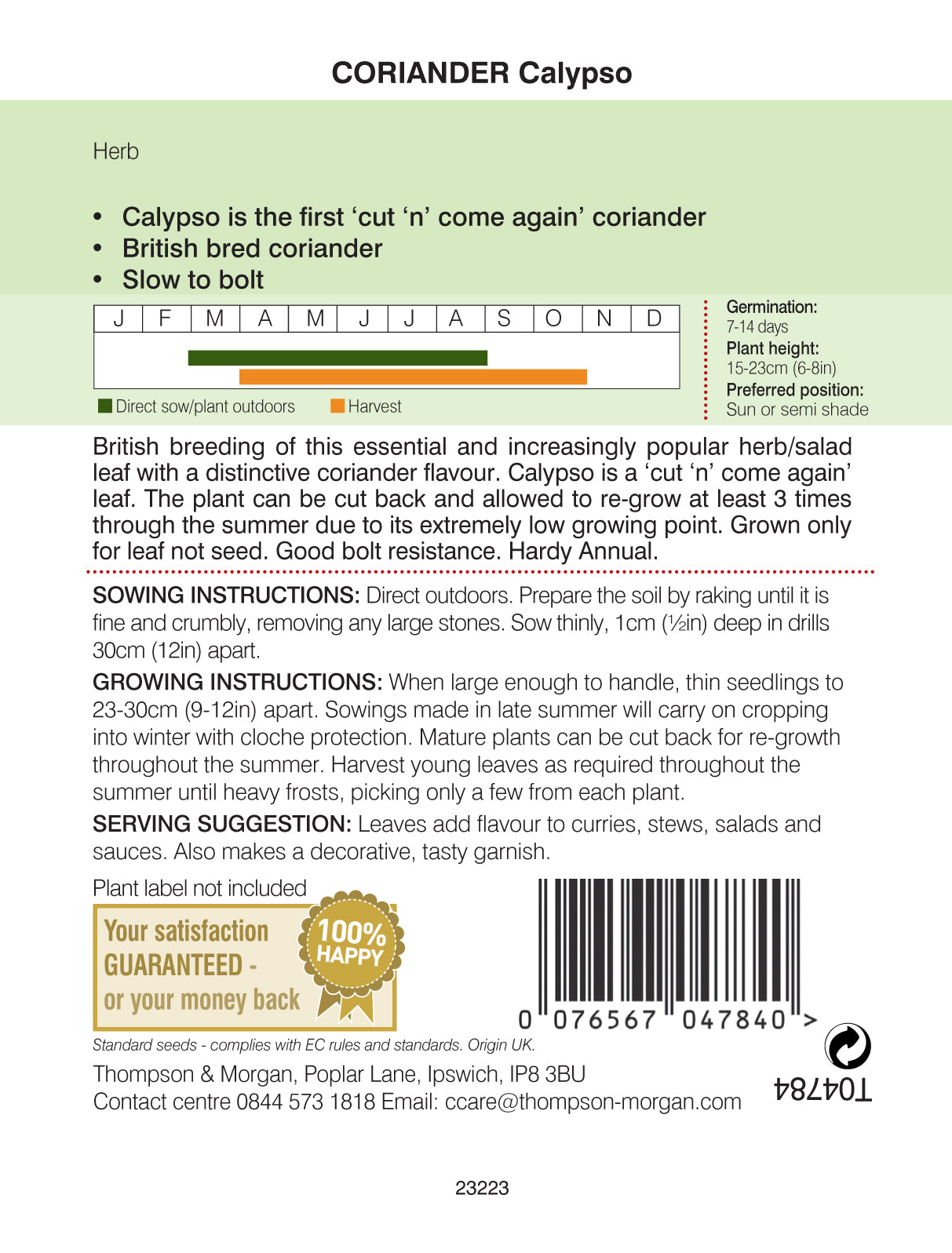 Herb Coriander Calypso