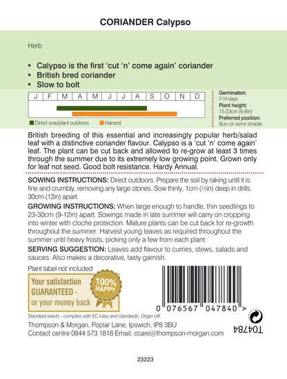 Herb Coriander Calypso