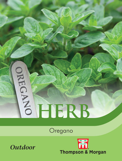 Herb Oregano