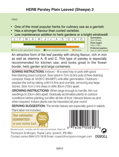 Herb Parsley Plain Leaved (Sheeps) 2