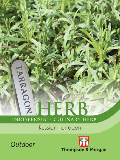 Herb Russian Tarragon