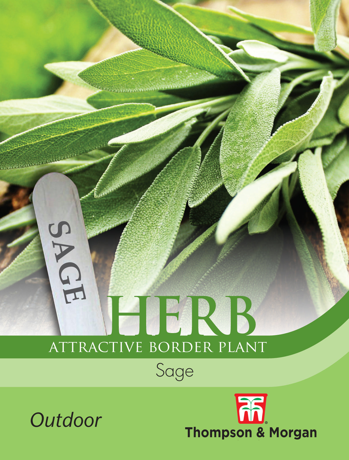 Herb Sage