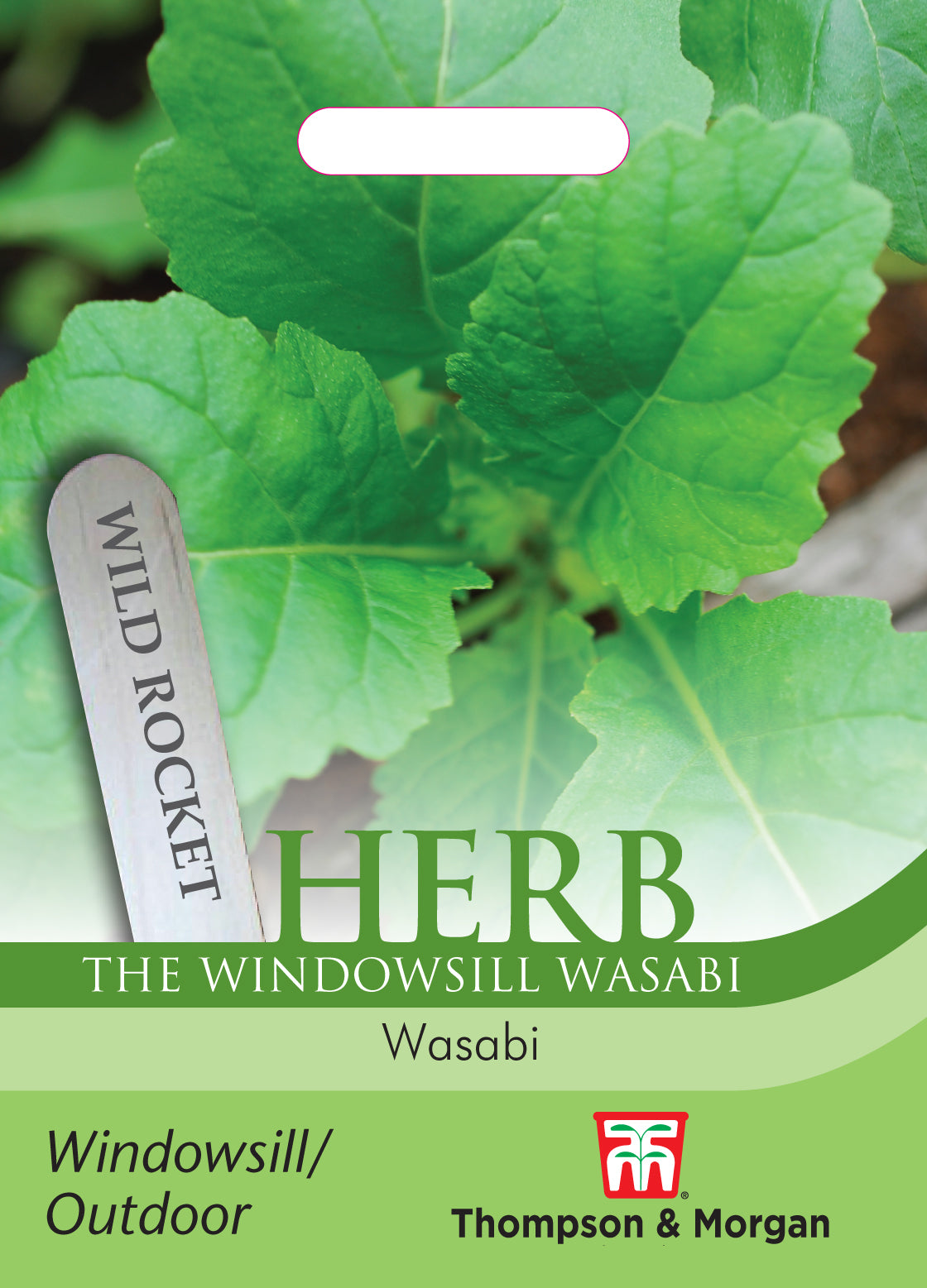 Herb Wild Rocket Wasabi