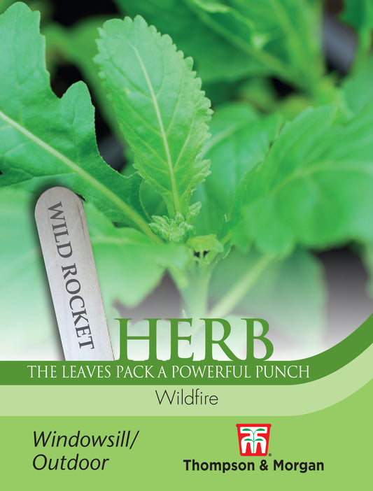 Herb Wild Rocket Wildfire