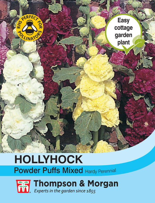 Hollyhock Powder Puffs Mixed