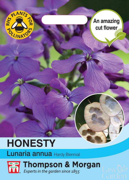 Honesty (Lunaria or Silver Dollar)
