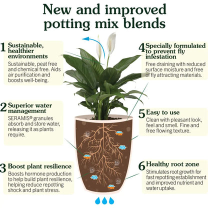 Westland Houseplant Potting Mix Peat Free 4L