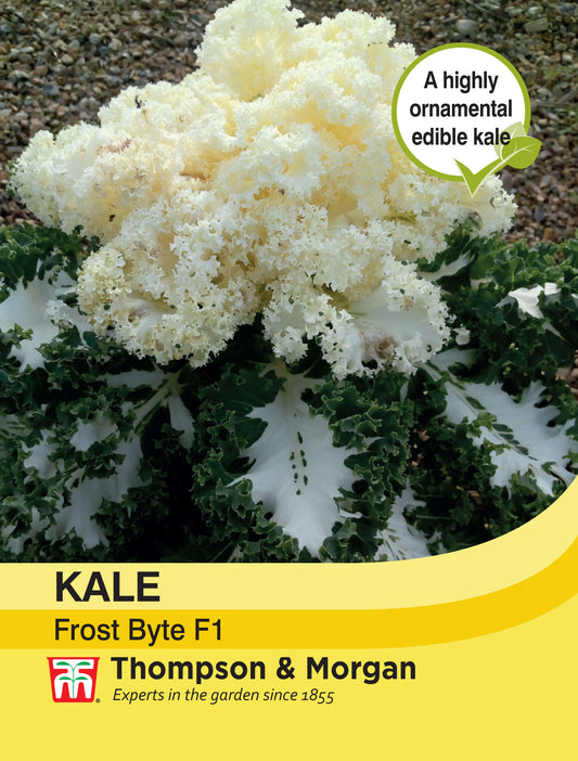 Kale Frost Byte F1